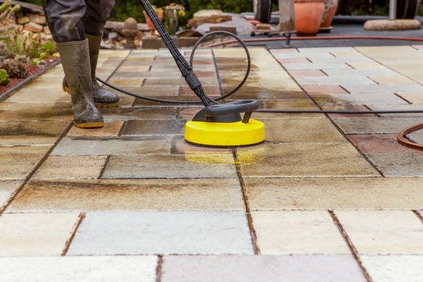 Animal Enclosure Cleaning in Indian Hills, TX